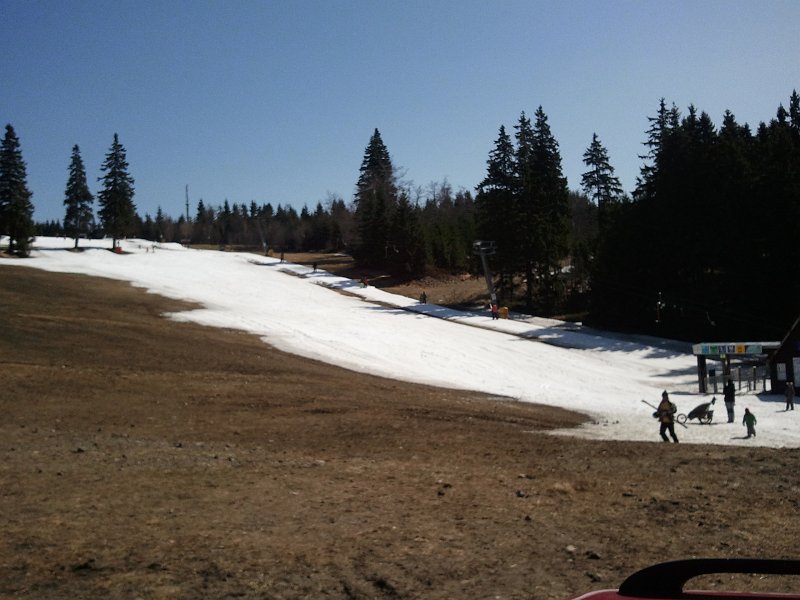 2011-04-10 11.38.13.jpg